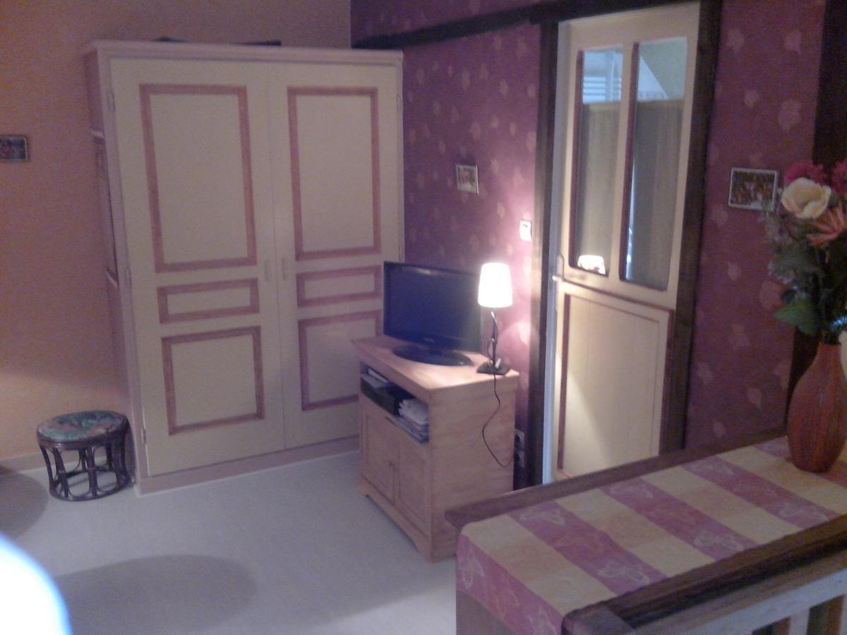 Les Hirondelles Bed & Breakfast Onzain Bagian luar foto