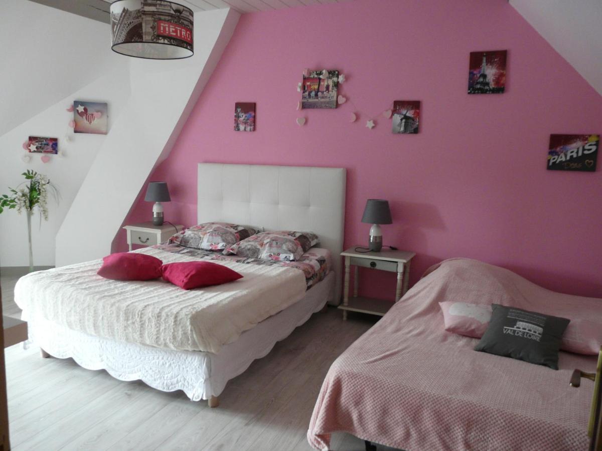 Les Hirondelles Bed & Breakfast Onzain Bagian luar foto