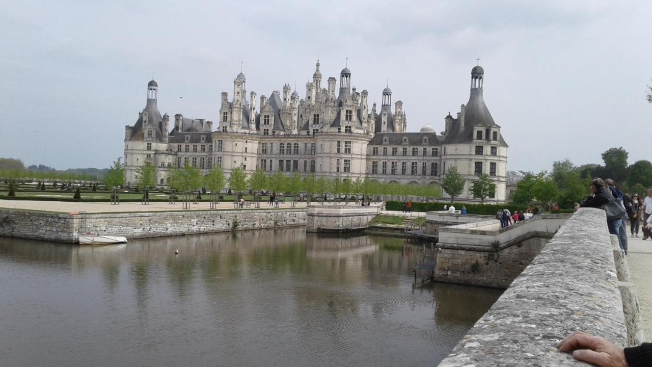 Les Hirondelles Bed & Breakfast Onzain Bagian luar foto