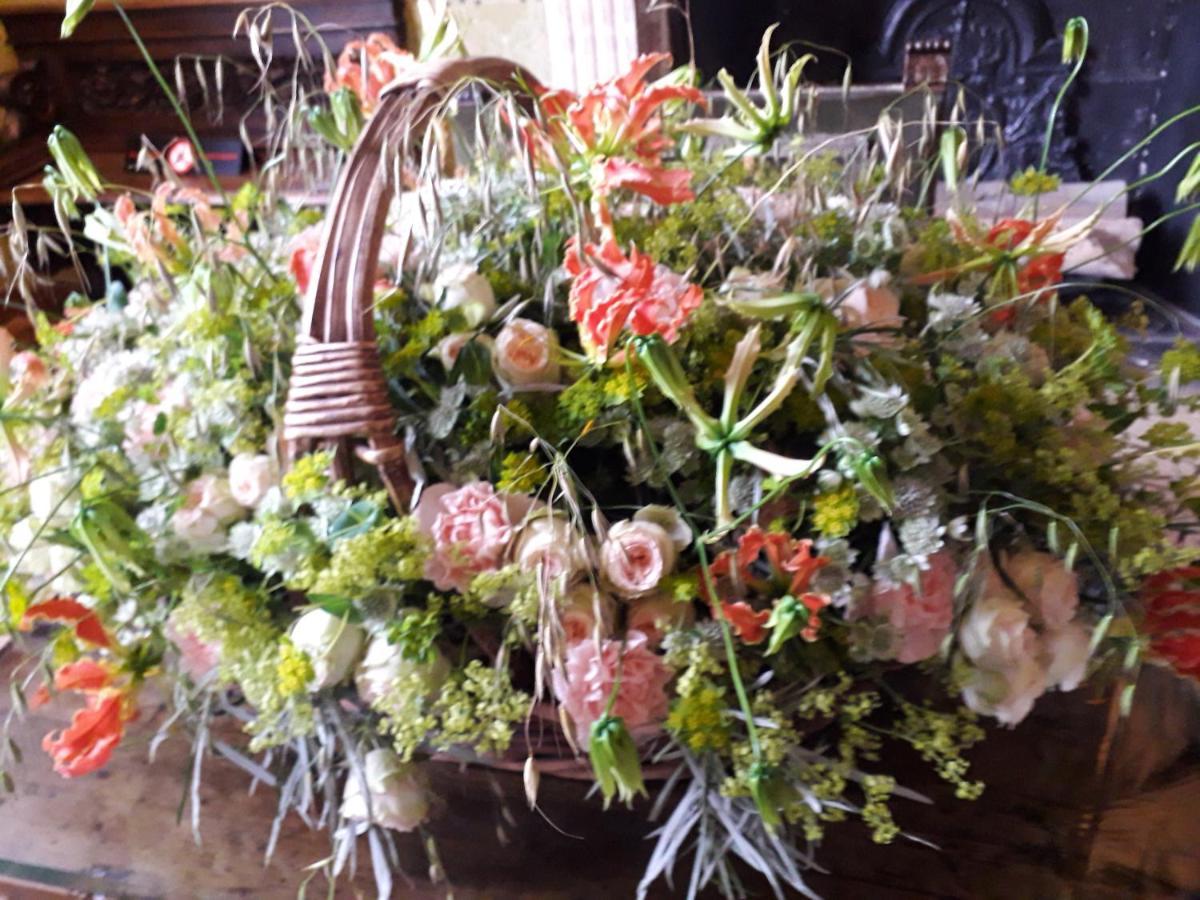 Les Hirondelles Bed & Breakfast Onzain Bagian luar foto