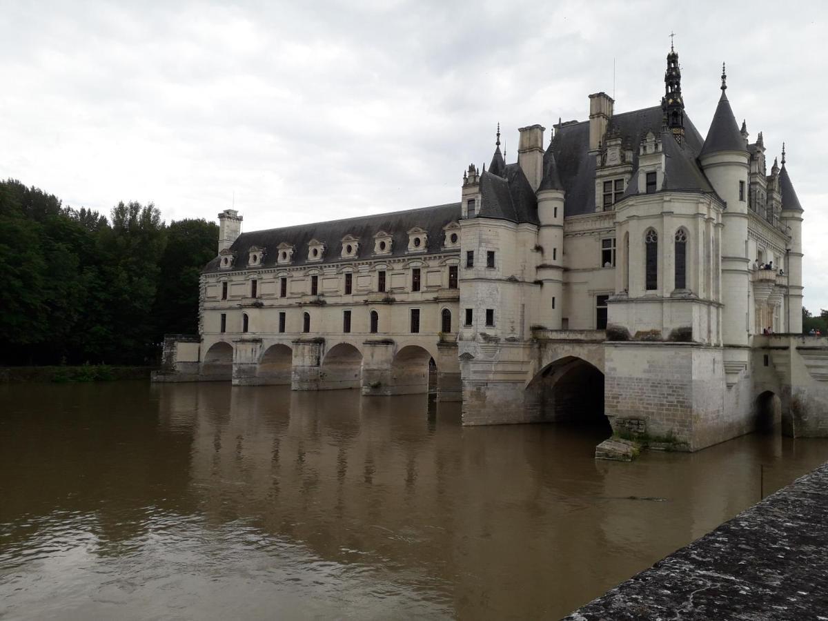 Les Hirondelles Bed & Breakfast Onzain Bagian luar foto
