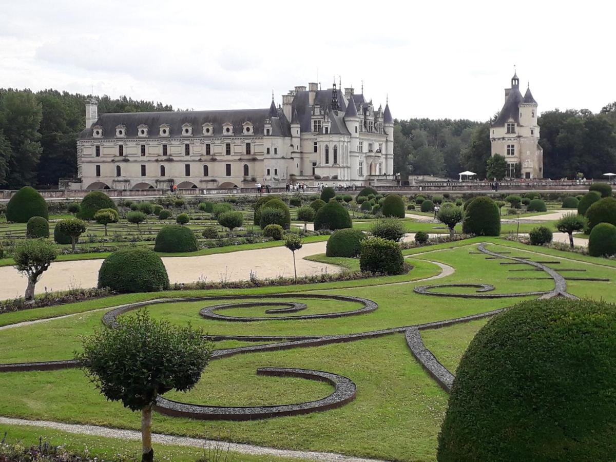 Les Hirondelles Bed & Breakfast Onzain Bagian luar foto