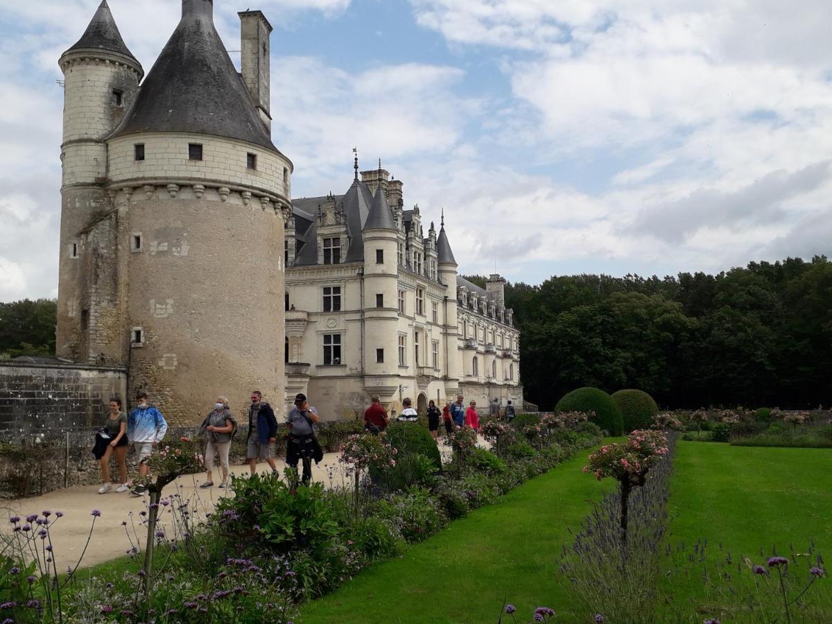 Les Hirondelles Bed & Breakfast Onzain Bagian luar foto